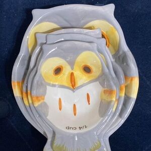 Adorable, owl, measuring cup set